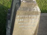 image of grave number 50792